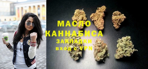 МДПВ Ельня